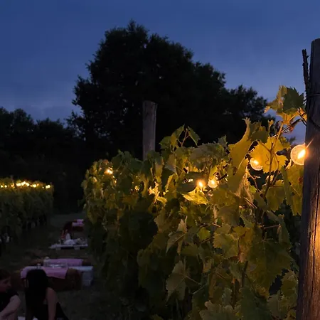 Apartamento Vigna