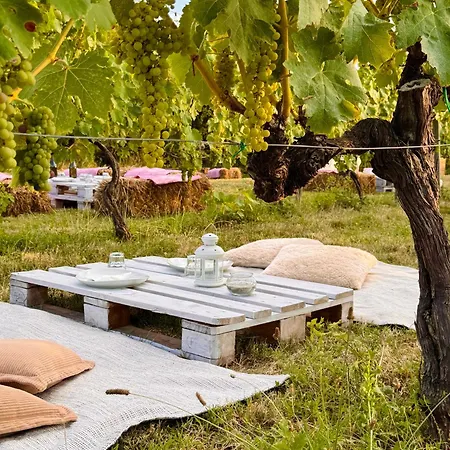 Vigna Appartement
