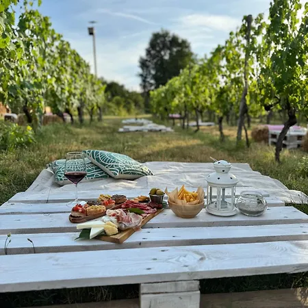 Vigna Appartement Rignano sullʼArno